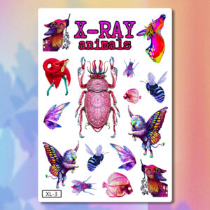 X-Ray Animals (XL-3)